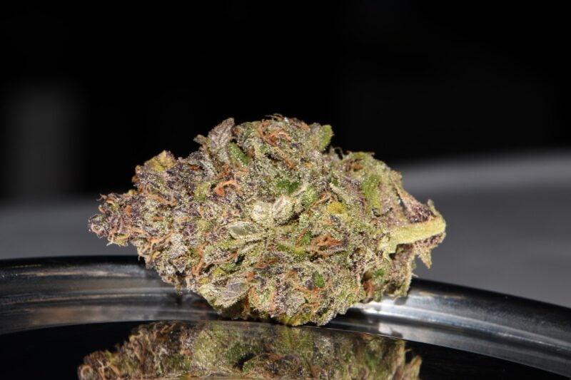 A close-up of a Smoothie Auto cannabis bud with visible green, purple, and orange hues, resting on a reflective metal surface against a dark background.