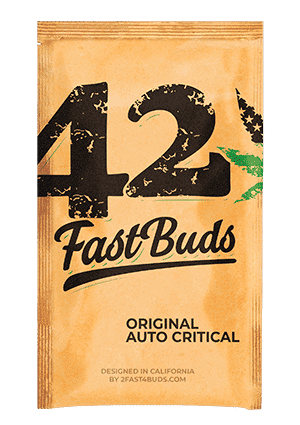 Original Auto Critical FastBuds
