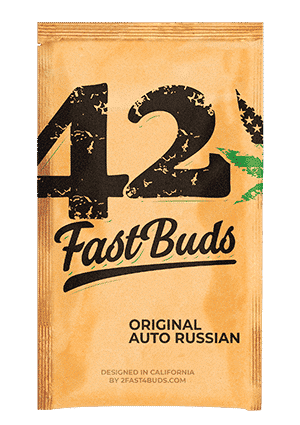Original Auto Russion FastBuds