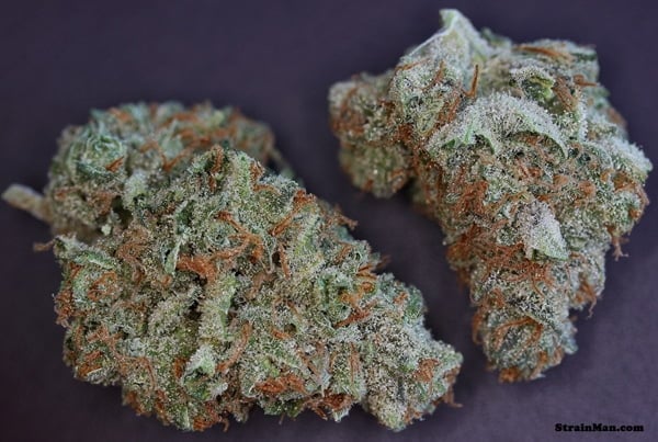 Moonshine Haze - Rare Dankness