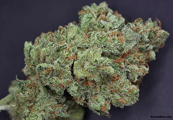 Ghost Train Haze #1 - Rare Dankness