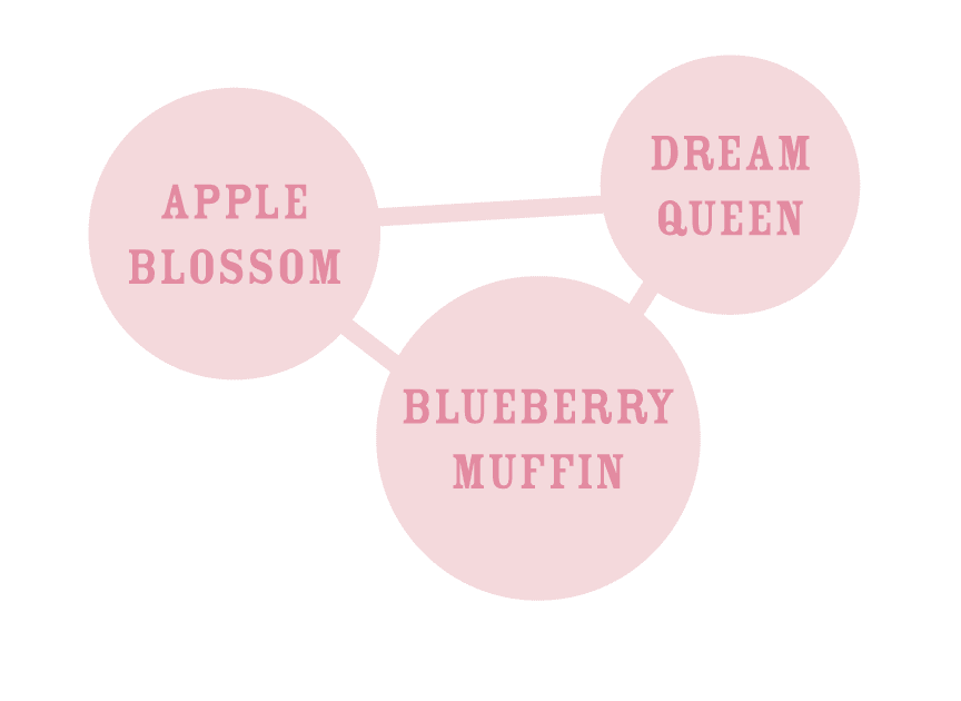 Apple Blossom Feminized Genetics by Humboldt Seed Organization