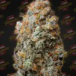 Close-up of a dense, frosty cannabis bud with orange hairs against a Tastebudz branded background, reminiscent of the high-quality strains found in the Back to the Future (F) (Formerly Back to the Future 2) collection.