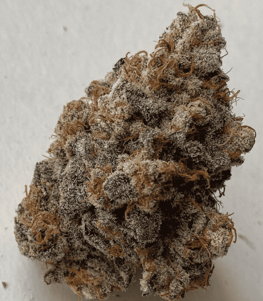 Close-up of a dried Wango Bango (R) cannabis bud with dense, frosty trichomes and brownish-orange hairs.