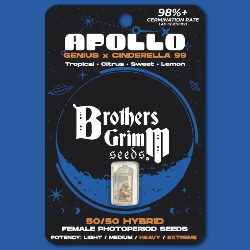 Apollo Cannabis Seeds by Brothers Grimm Seeds