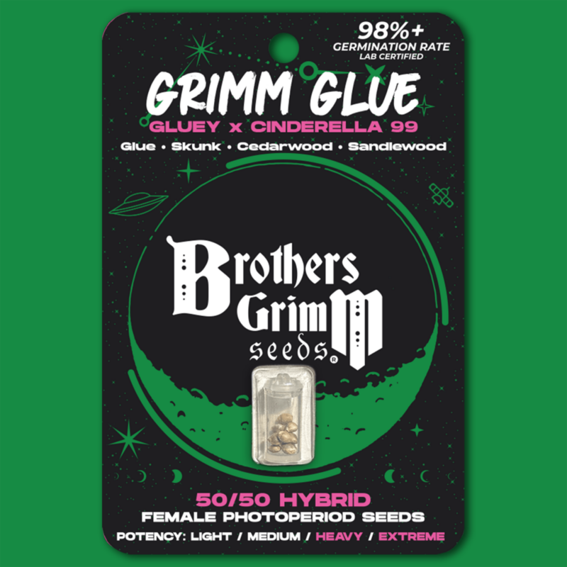 grimm glue cannabis seeds by brothers grimm seeds