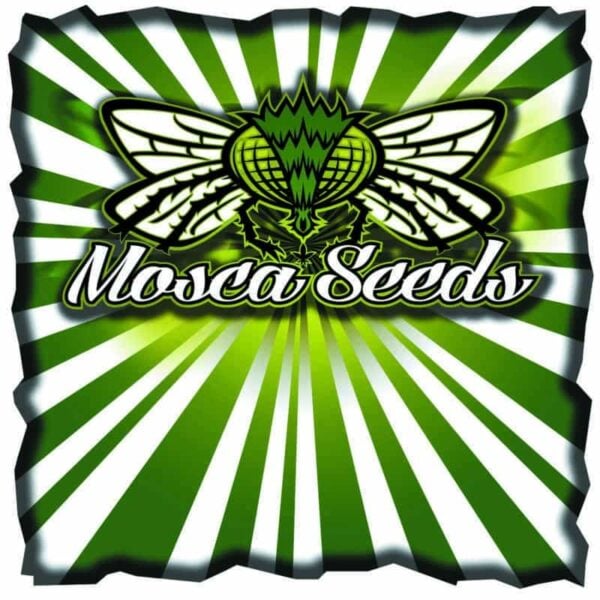 Logo of Mosca Seeds featuring a stylized green and white fly with outstretched wings on a green and white radial striped background. The text below the fly reads "Mosca Seeds.