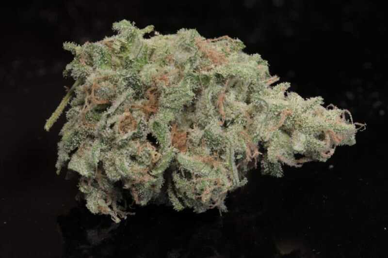 Close-up of a cannabis bud with Something Good (F)—green leaves and vibrant orange hairs—set against a deep black background.