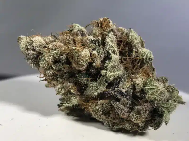 Close-up of a Purple Turban (F) cannabis bud, displaying intricate trichomes and a mix of green, brown, and purple hues. The background is blurred, making the bud the primary focus.