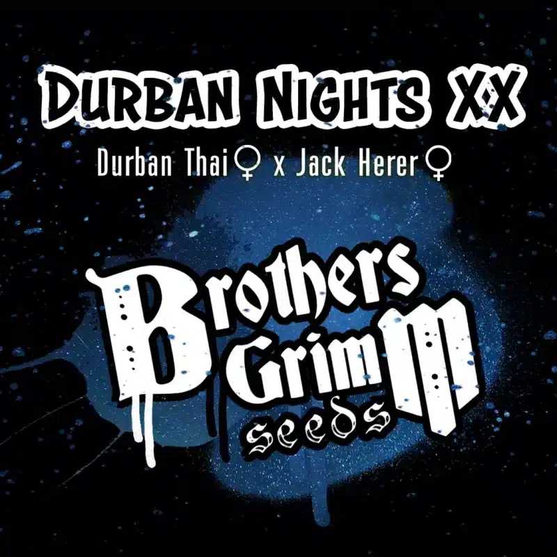 bg durban nights xx f