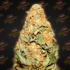 It looks like the initial product name in your sentence is already "Biscotti #33 Auto." Would you like me to make any other changes or adjustments? If so, please provide additional details. Here's a clean version of your provided sentence:

Close-up image of a Biscotti #33 Auto cannabis bud covered in fine orange hairs and green leaves, set against a background with the "Tastebudz" logo repeated throughout.