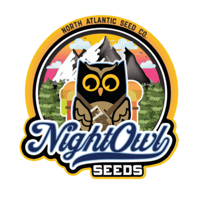 Night Owl Seeds