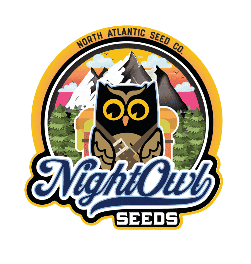 Night Owl Seeds cannabis seeds