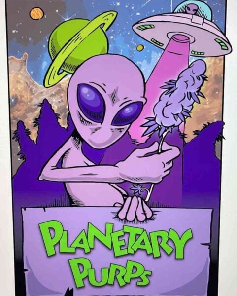 Cartoon image of an alien holding a cannabis plant under a spaceship with a banner that reads "Planetary Purps (R)".