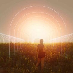 A person stands in a field with glowing arched pathways extending to the horizon, against a bright, hazy sky, much like the radiant promise of an Early Girls Multipack (F).
