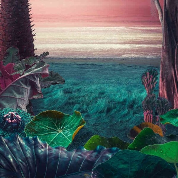 Surreal landscape featuring large leaves and plants in the foreground, reminiscent of the tropical wonders found in a Tropical Thunder Auto Multipack, with a shimmering shoreline and a colorful sky in the background.