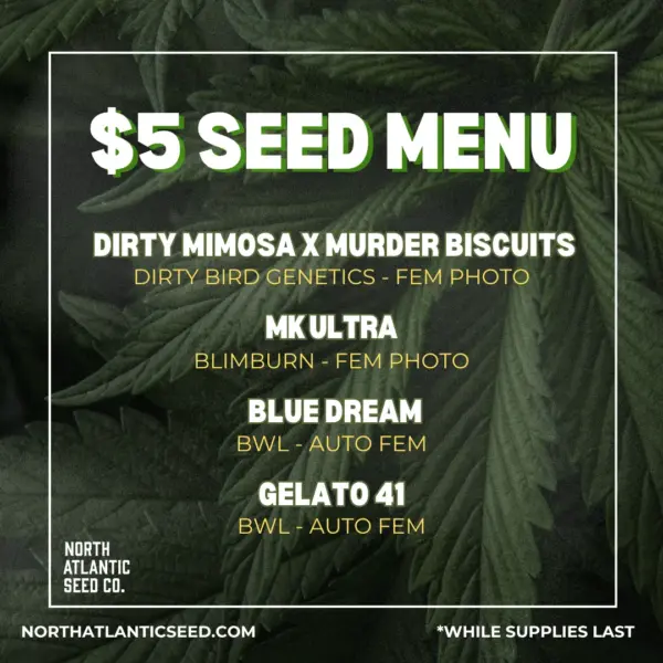 5 dollar seed menu dollar treez