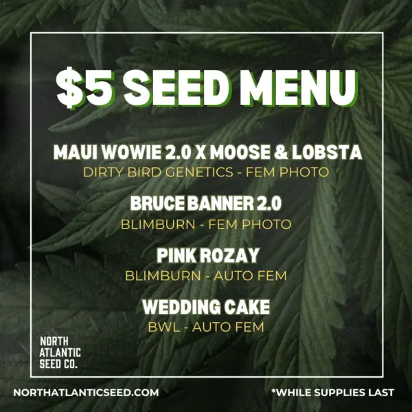 Dollar Treez June 5 dollar menu