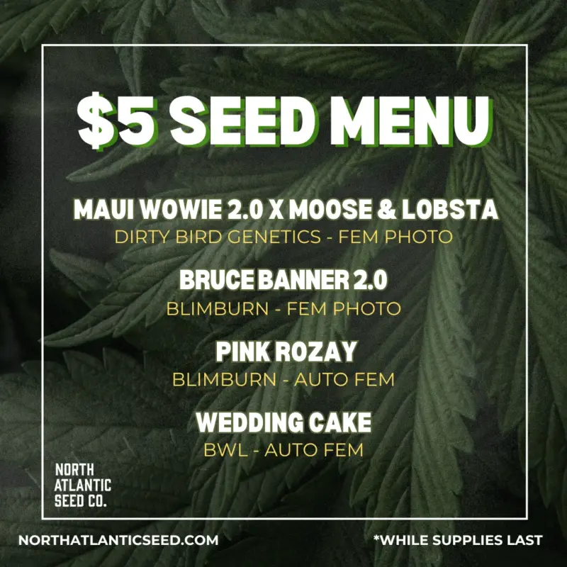 Dollar Treez June 5 dollar menu