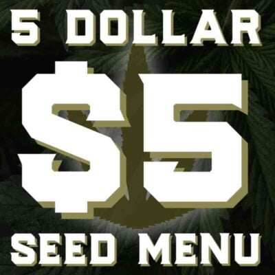 $5 Seed Menu – Cannabis Seeds for Sale | North Atlantic Seed Co.