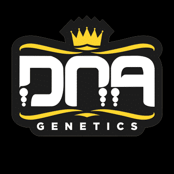 DNA Genetics - Autoflowering Cannabis Seeds cannabis seeds