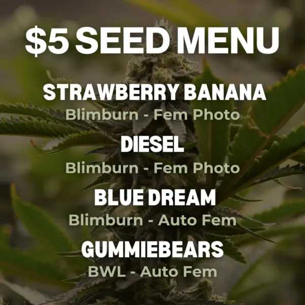Dollar treez $5 dollar menu august