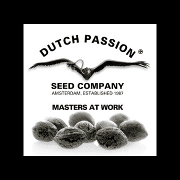 Dutch Passion's logo or representative image