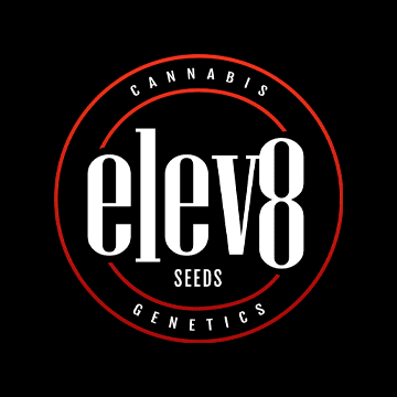 Elev8 Seeds cannabis seeds