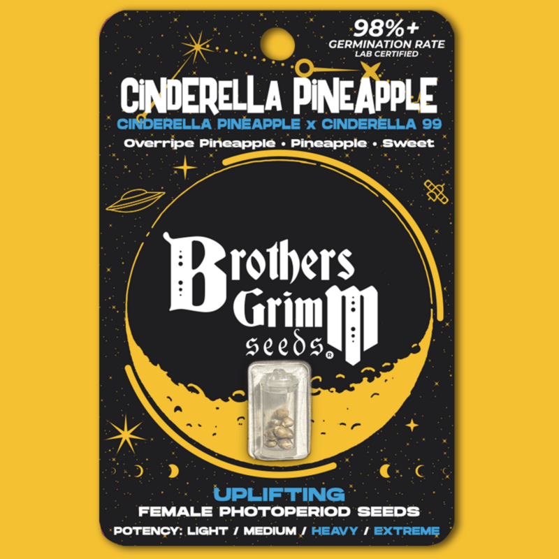 cinderella pineapple cannabis seeds by brothers grimm seeds