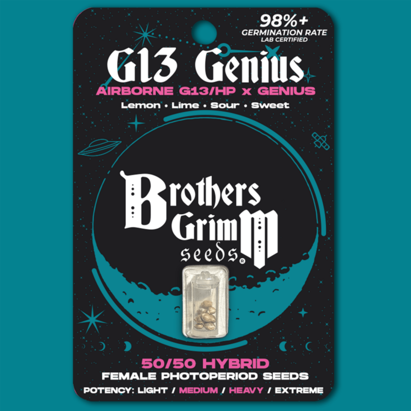 g13 genius cannabis seeds by brothers grimm seeds
