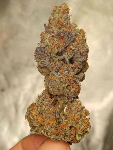 Cherry Smash