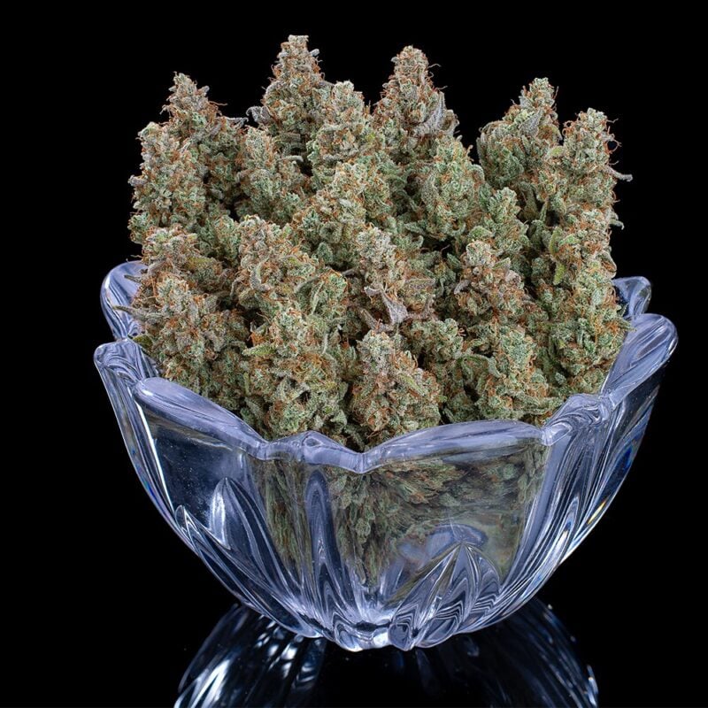 grimm mints cannabis seeds by brother grimm seeds