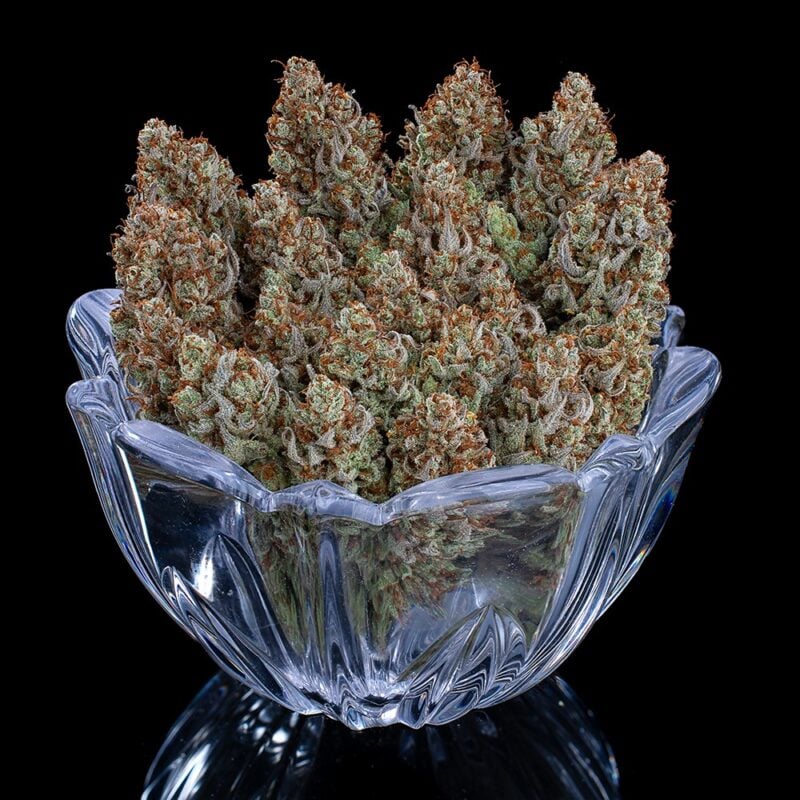 headband 99 cannabis seeds by brothers grimm seeds