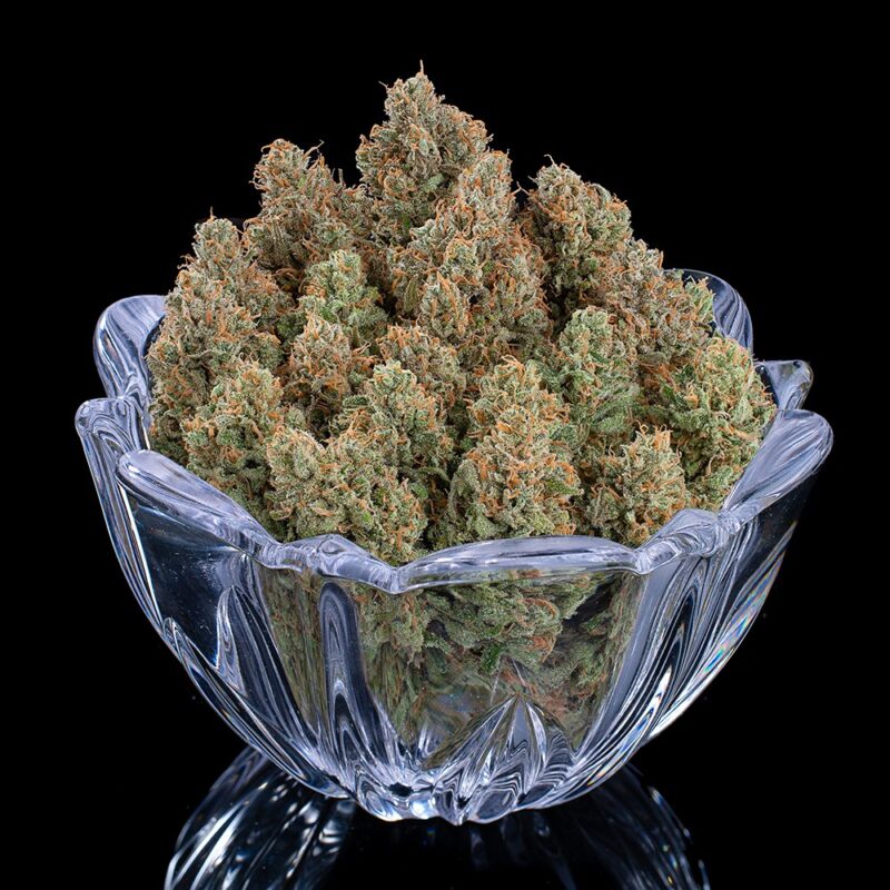 Rosetta 78 cannabis seeds by brothers grimm seeds