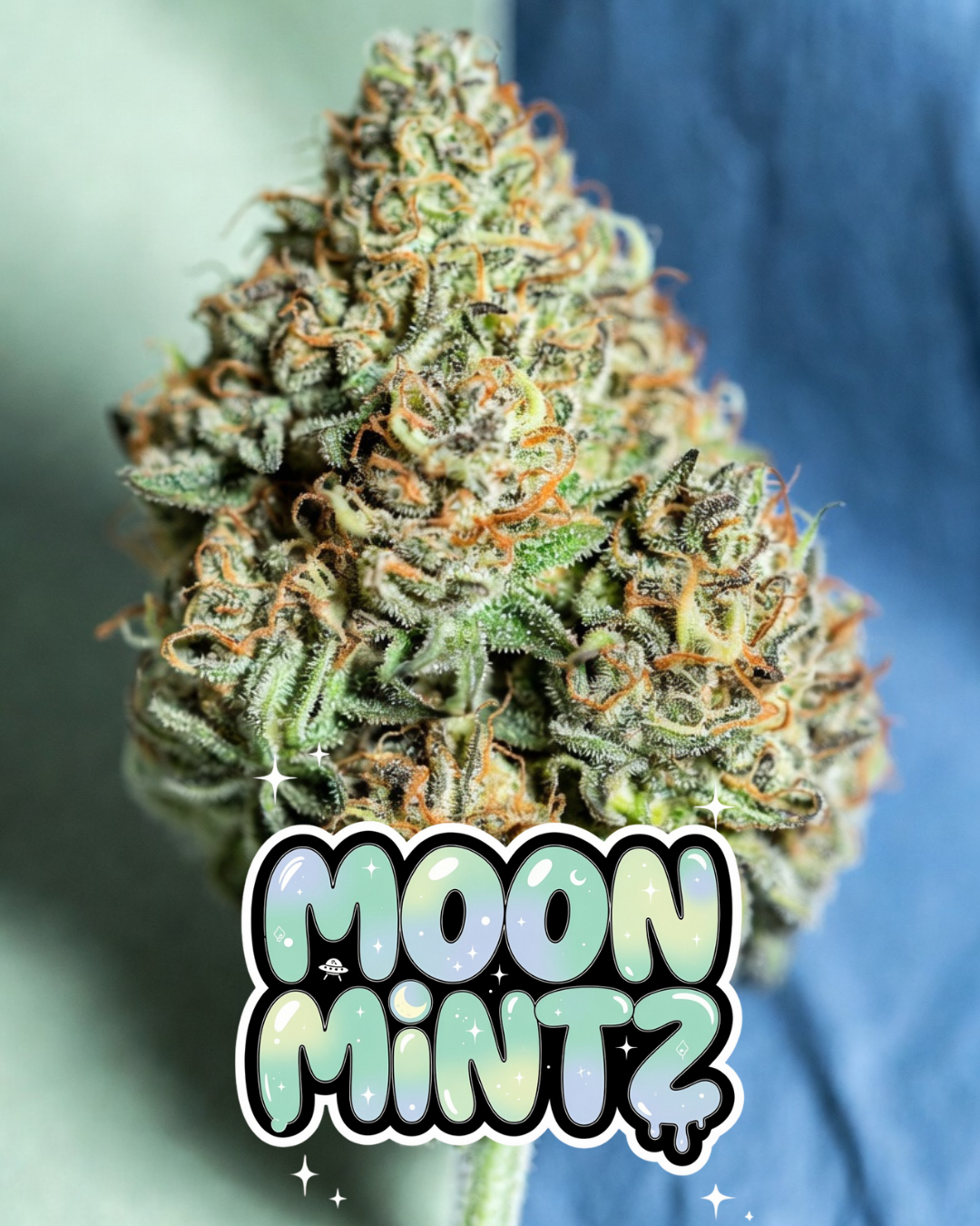 Moon Mintz Cannabis Seeds by Supernatural Seeds