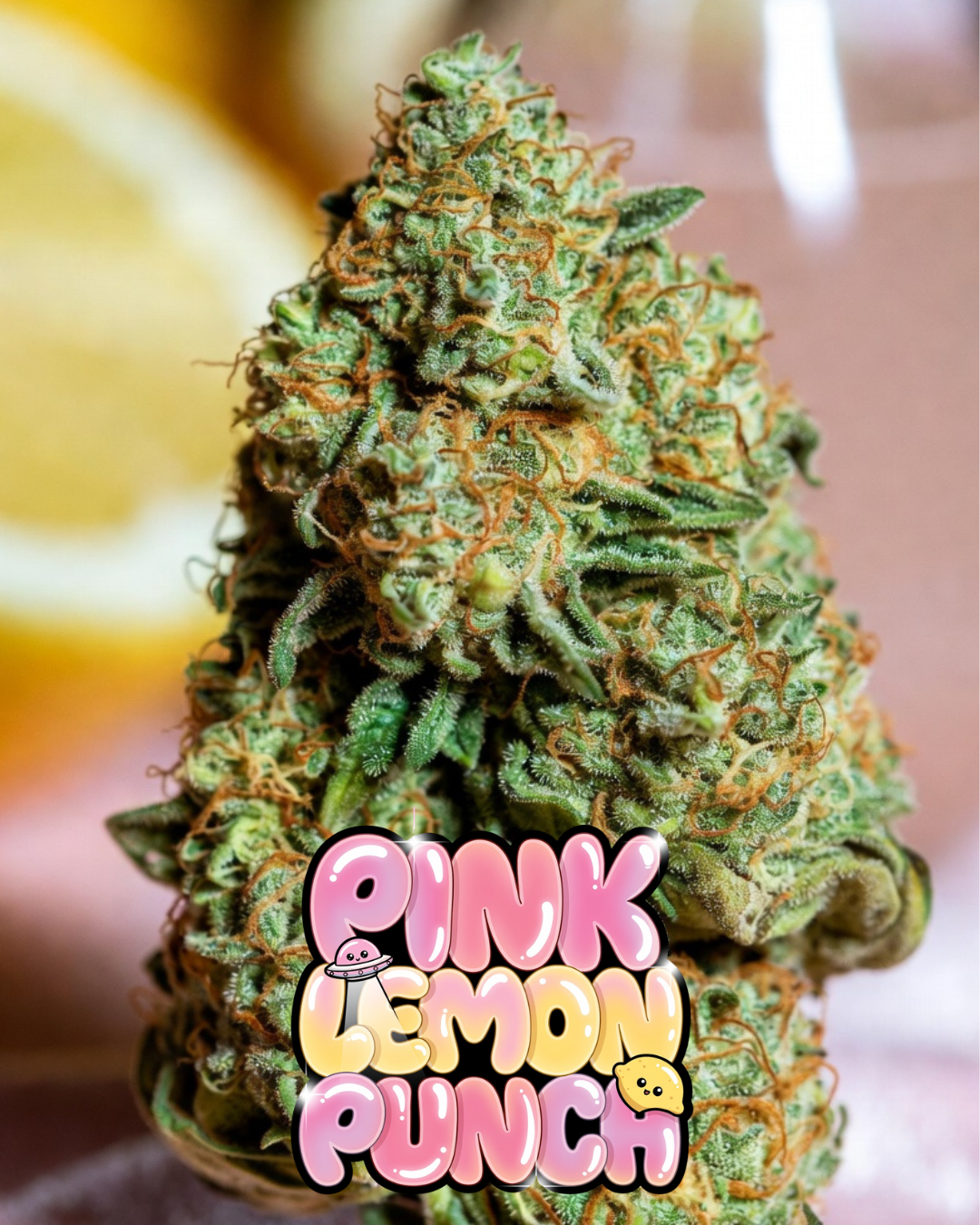 Pink Lemon Punch Cannabis Seeds by Supernatural Seeds