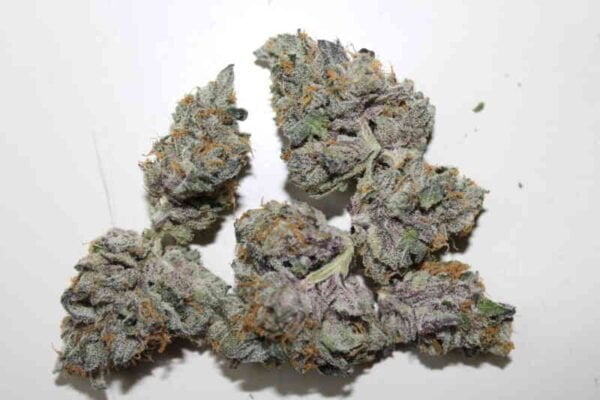 Purple Caper Seeds Guava X