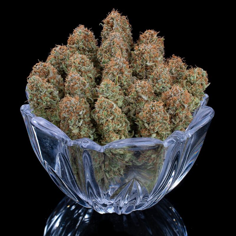 puck yes cannabis seeds by brothers grimm seeds