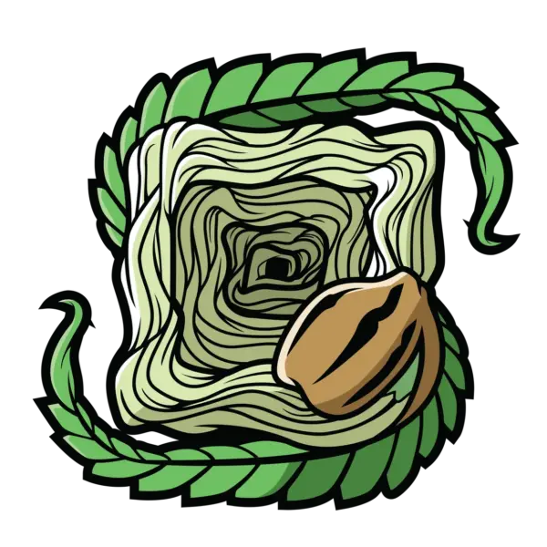 Square One Genetics cannabis seeds, marijuana seeds, weed seeds