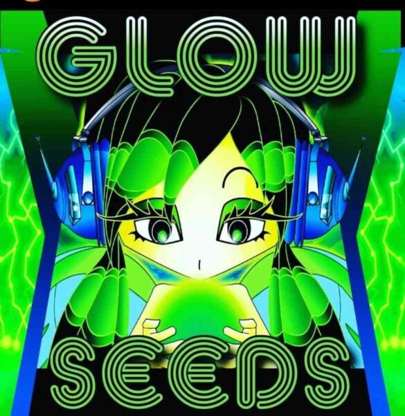 tiki madman glow seeds