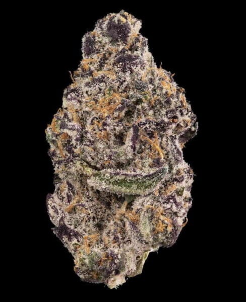 Sin City Seeds Forbidden Mints