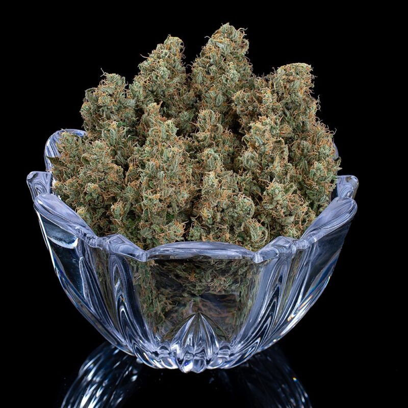 Rosetta Stoned cannabis seeds by brothers grimm seeds
