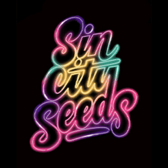 Sin City Seeds > Logo