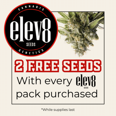 Elev8 Seeds