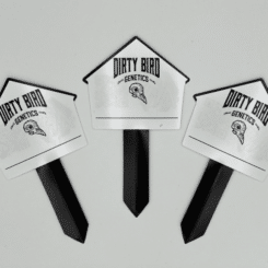 Three plant markers with the label "Dirty Bird Plant Labels" are displayed against a plain background, showcasing the distinctive branding of Dirty Bird.