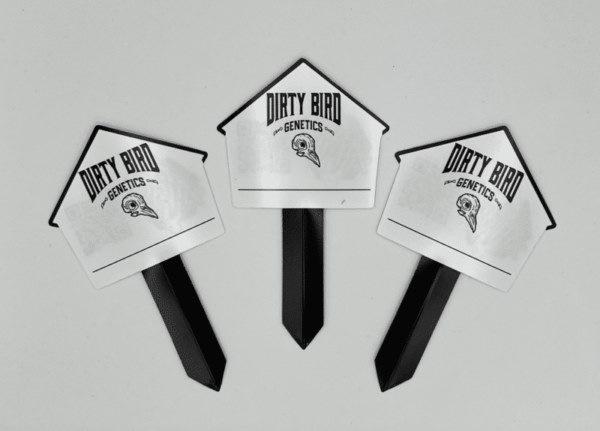 Three plant markers with the label "Dirty Bird Plant Labels" are displayed against a plain background, showcasing the distinctive branding of Dirty Bird.