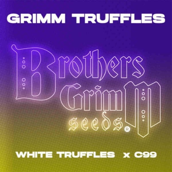 Image displaying text that reads: "Grimm Truffles [TESTER] (F)" at the top, "Brothers Grimm seeds" in the center, and "WHITE TRUFFLES x C99" at the bottom. The background has a gradient of purple to green.