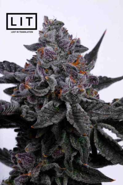 LIT Farms Rainbow Zoap