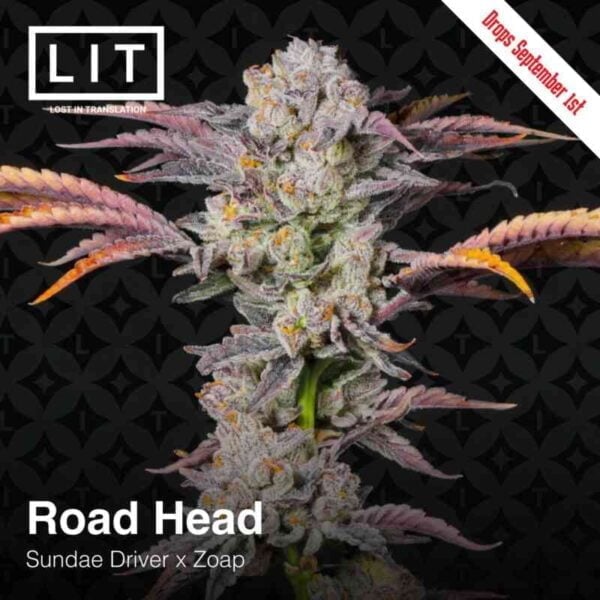 LIT Farms Road Head