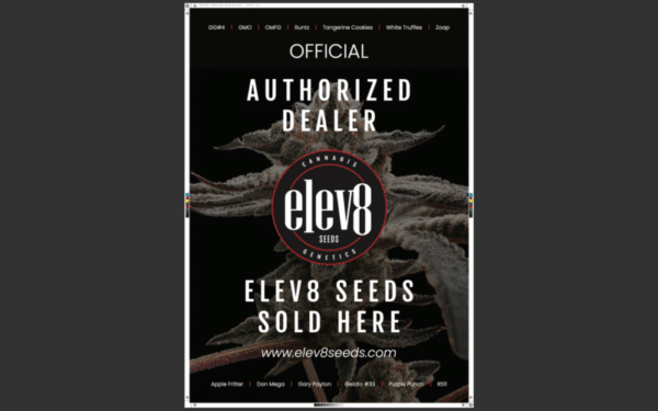 Promotional poster for Elev8 Seeds, an authorized dealer. The text reads, "Elev8 Seeds sold here" with the website URL www.elev8seeds.com included. Various seed strains are listed at the top and bottom. elev8 Posters- 2 Pack available for display.